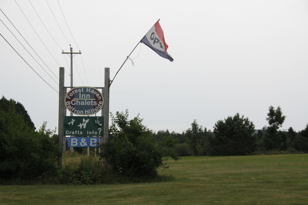 Forest Haven Inn Tatamagouche Extérieur photo